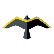 Falcon Kites logo